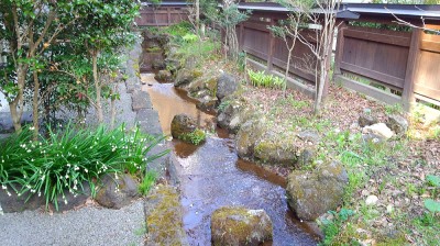春の壱の井の中庭（４月の画像です）