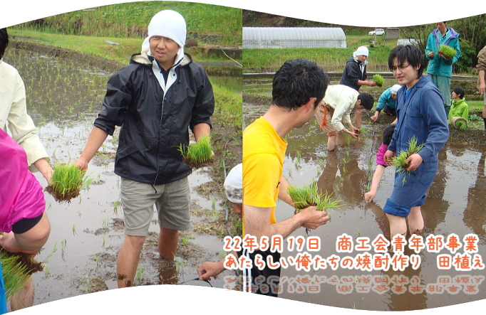 田植え