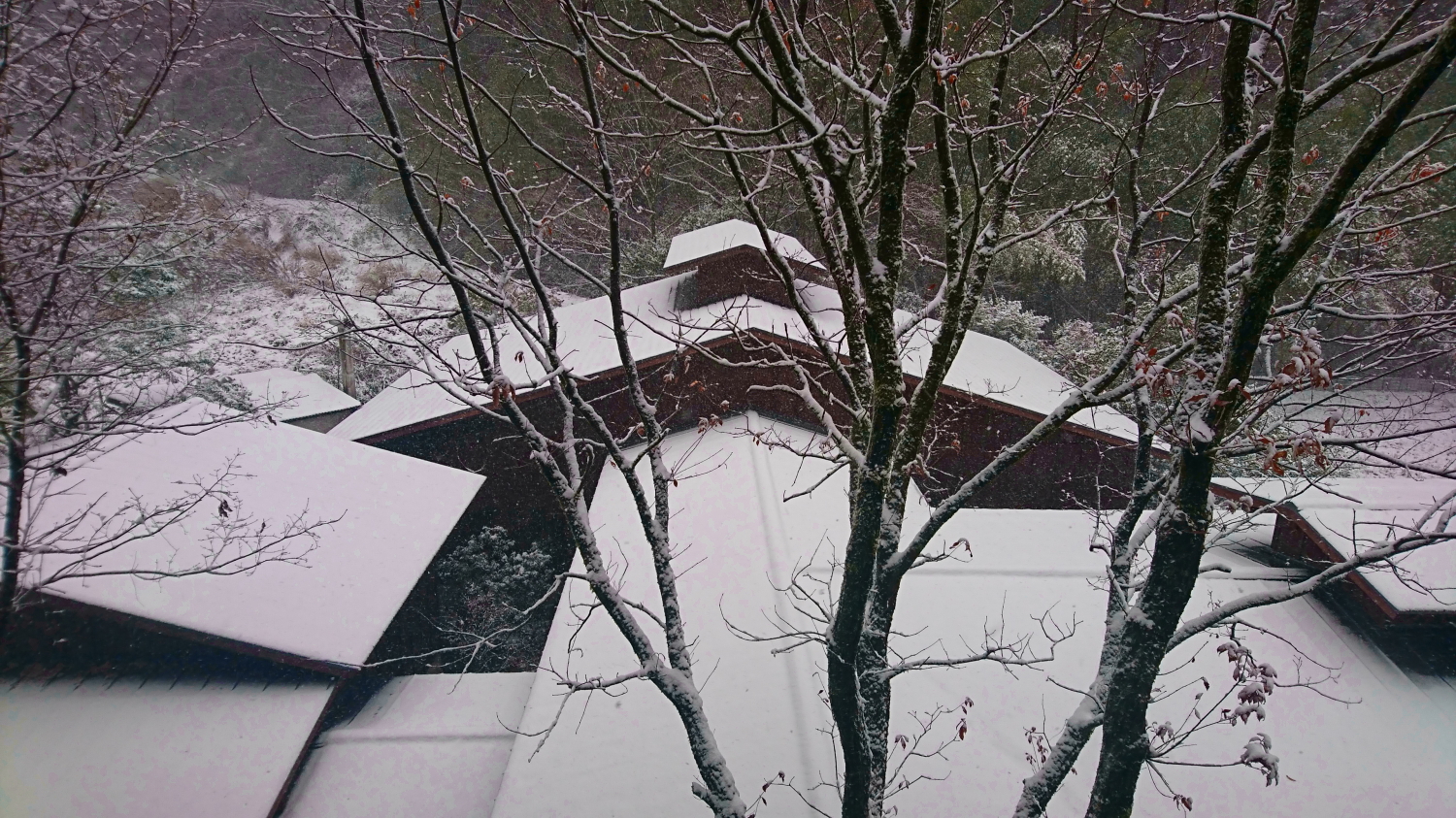 雪の季節です 黒川温泉 旅館壱の井